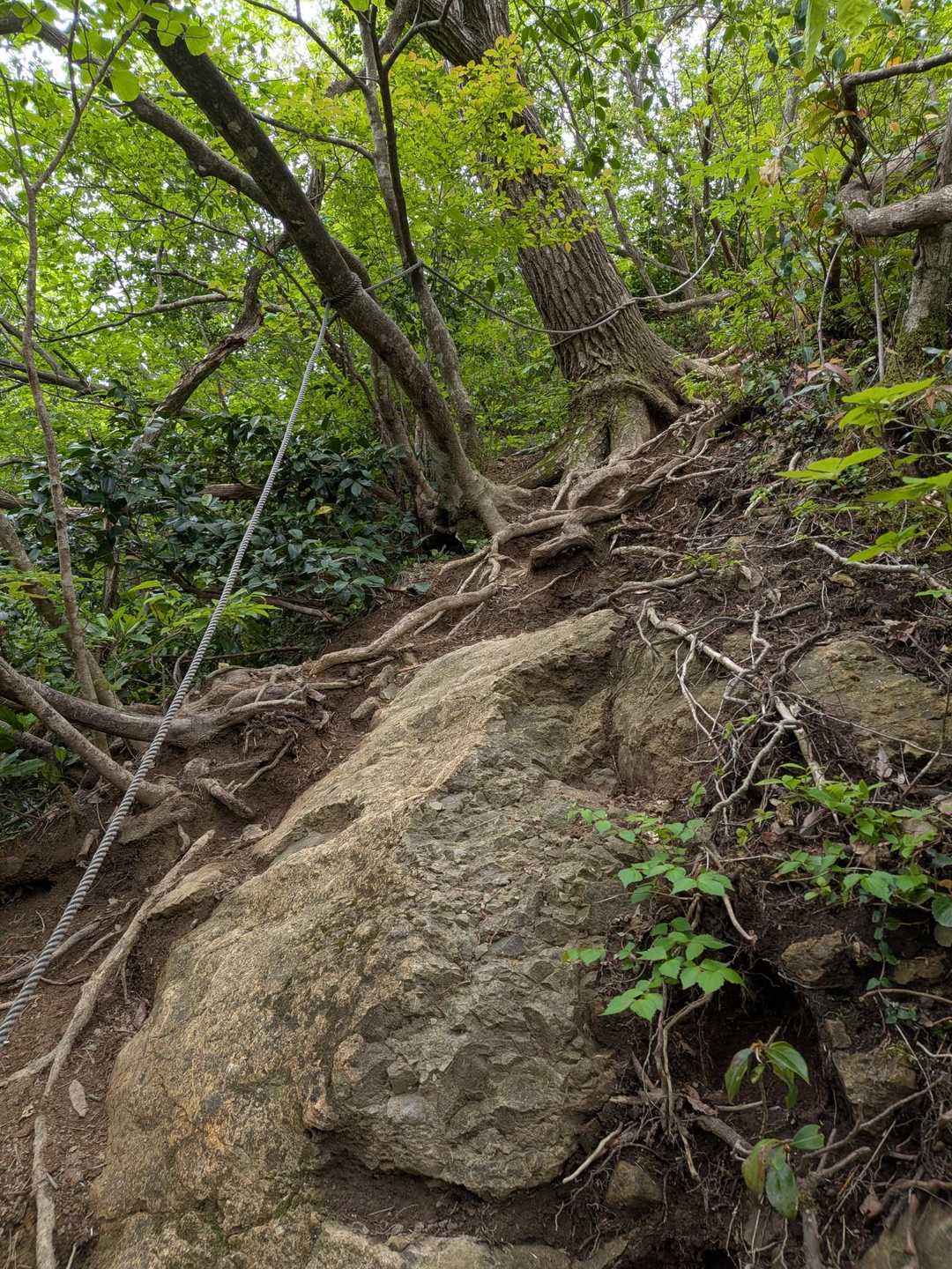 大内峠-熊の平-火燈山-小倉谷山 往復コースの写真