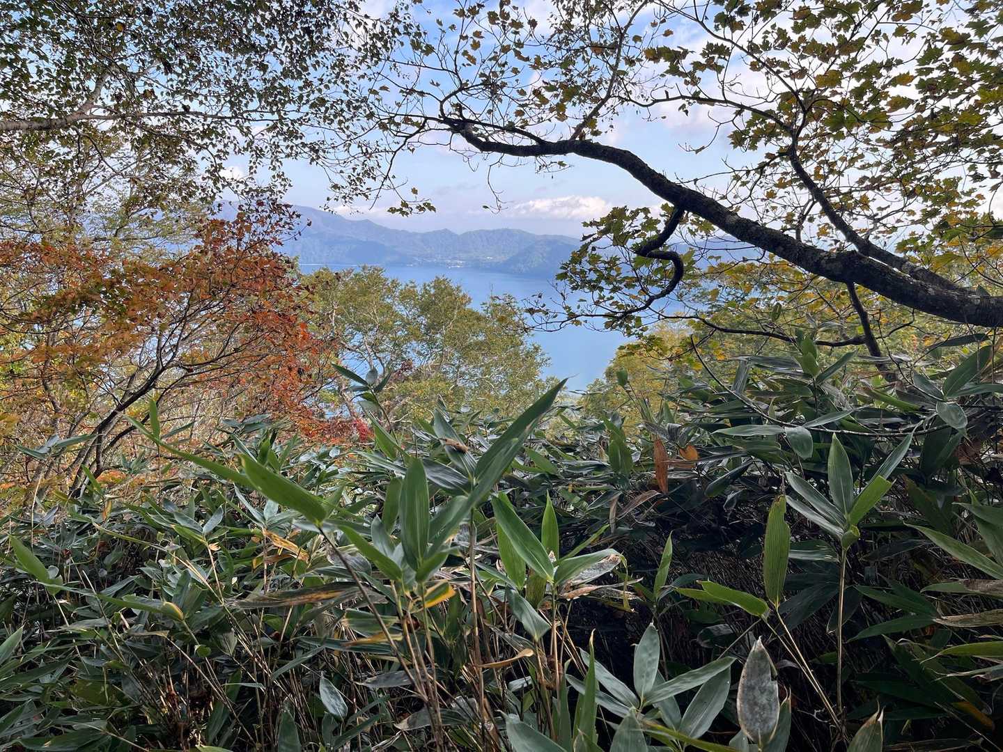 振り向くと支笏湖