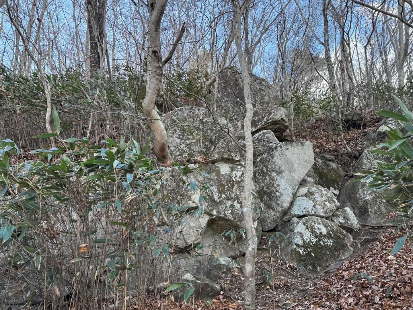 また岩ゾーン
