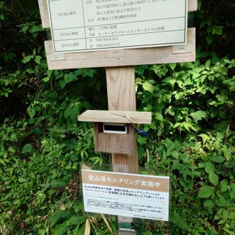 所々でモニターが設置されてた