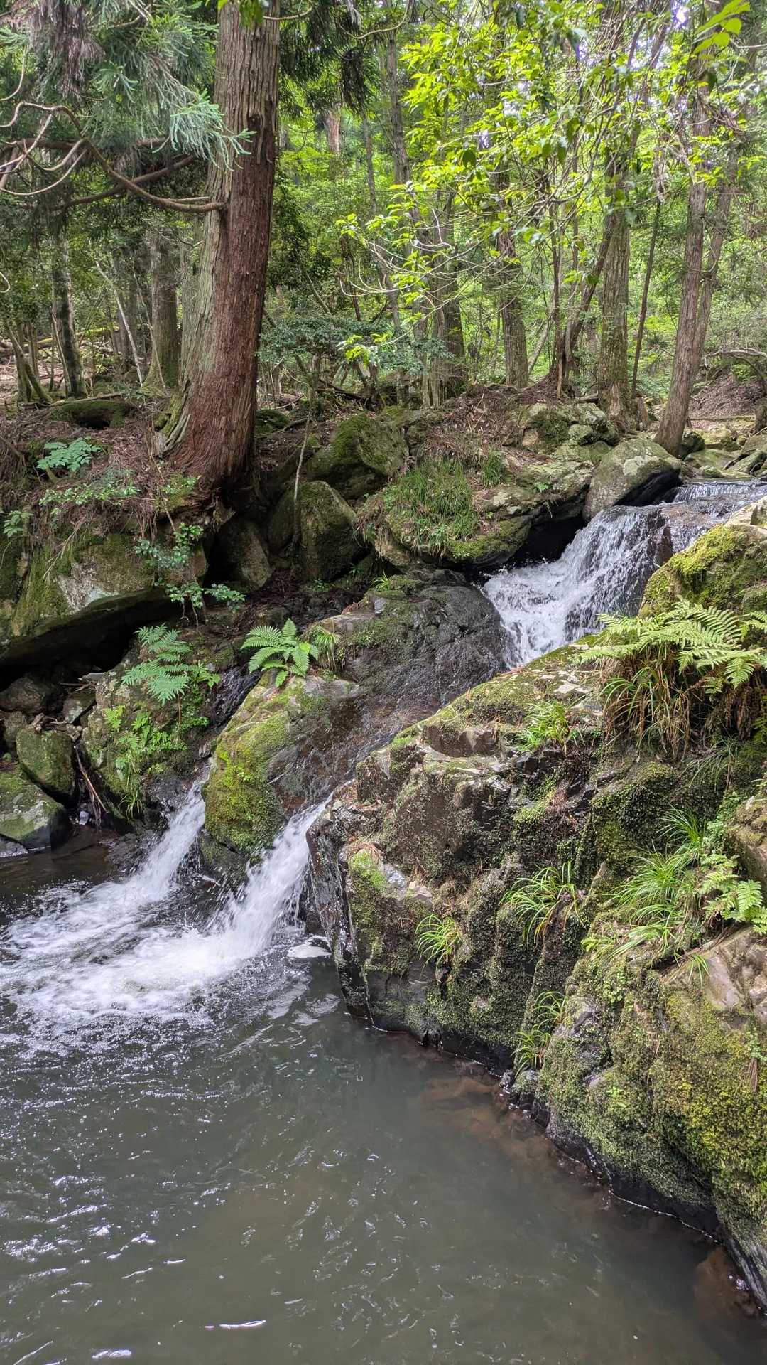 るり渓深山ハイキングコース入口-深山 周回コースの写真