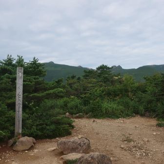 ほんとの空