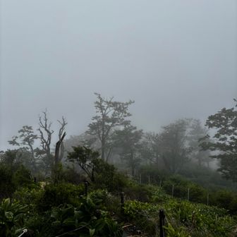 蛭ヶ岳方面、真っ白