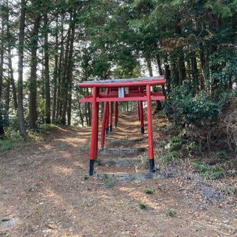 鳥居⛩️