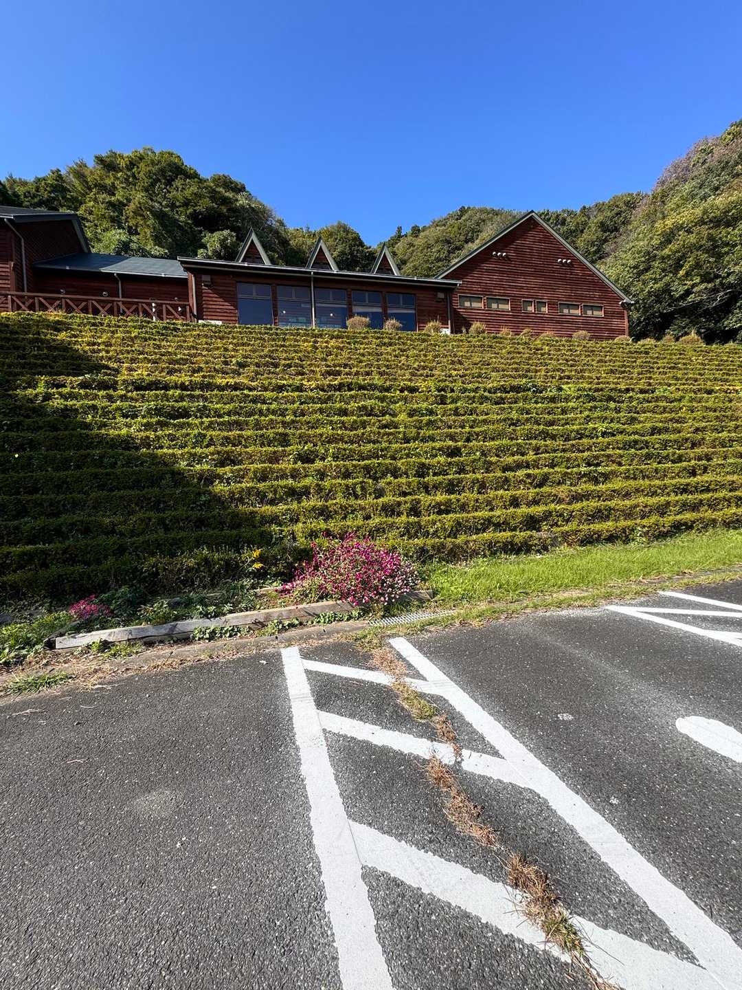 翁桜コース入口-剣ヶ峰-青木葉峠-青木葉山 周回コースの写真