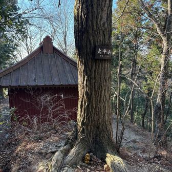 富士浅間神社奥、これが大平山山頂341m