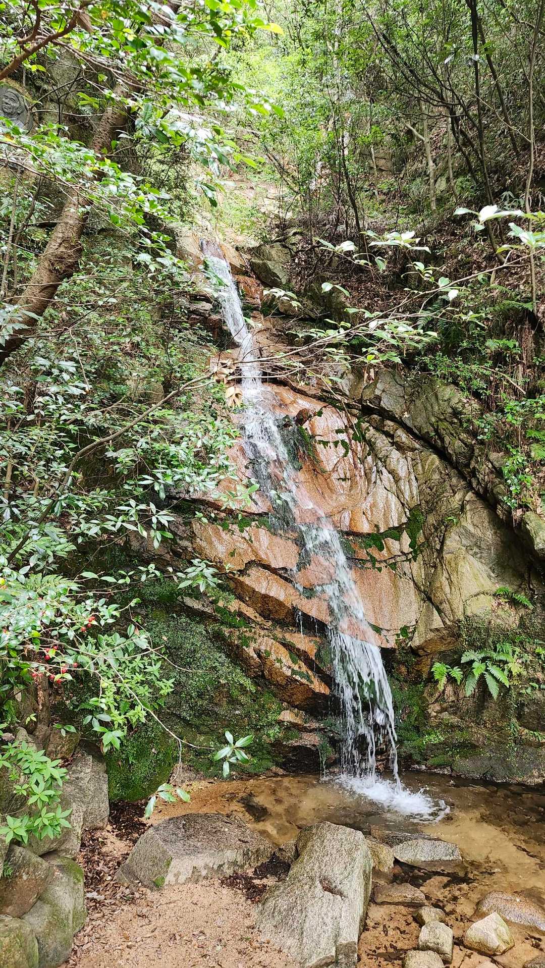 行きの高座の滝