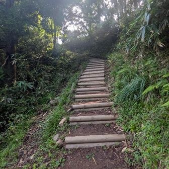 登山口から40分ほどで分岐地点の氷ノ山越避難小屋に到着
小屋周りに大勢の人がいたので人混みを避けて赤倉山に向かいます