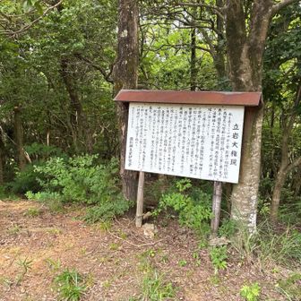 山頂に到着。