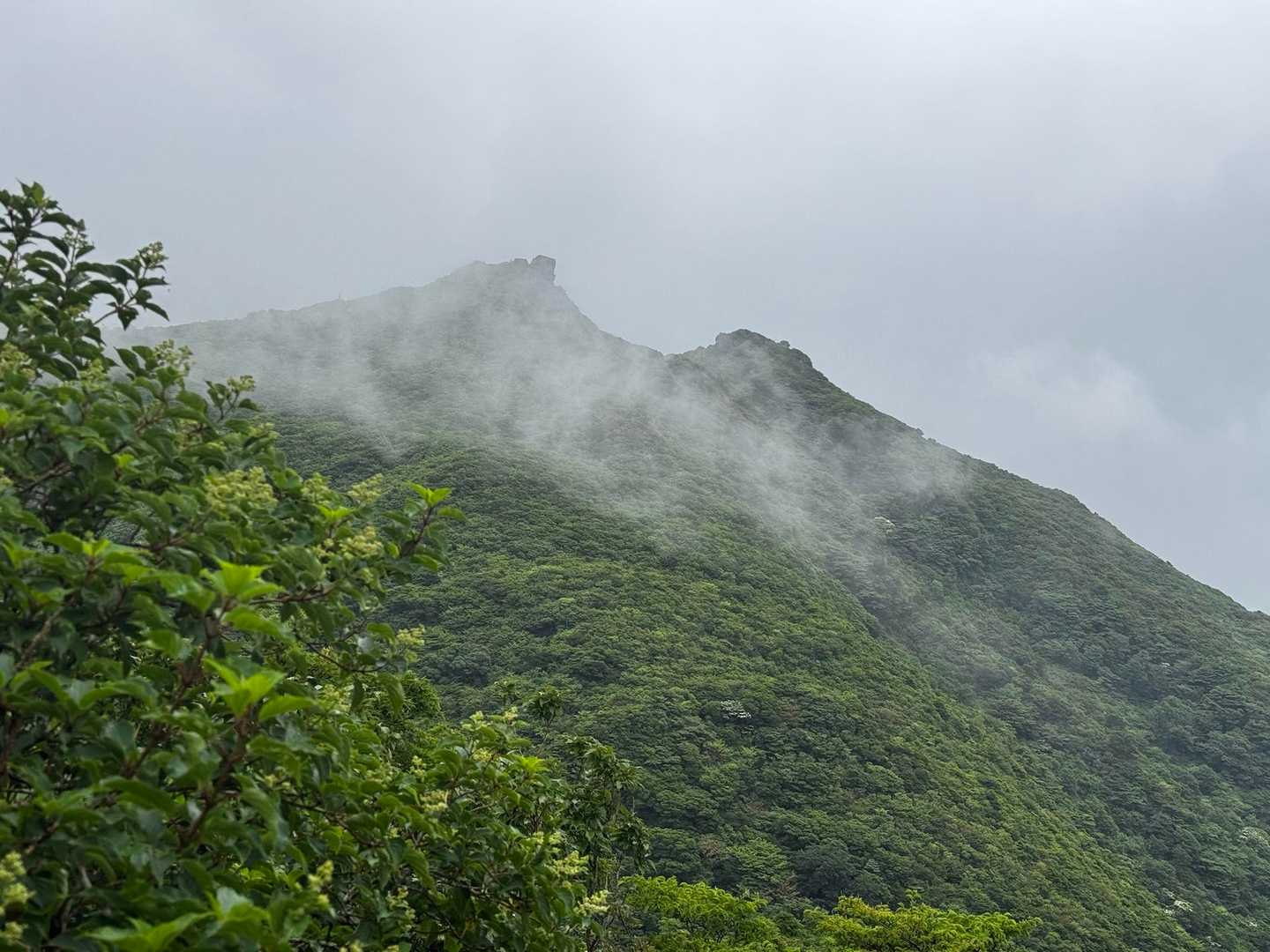 普賢岳の方がモヤがなさそう✨
初めて登った時みたいに山頂で晴れるパターンを期待します💗