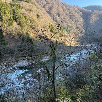 アドベンチャー
コースも皆んなで
無事にクリアしました✨
それにしても
雲一つない天気☀️で
大満足でした🥰