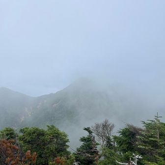 ガスってきた