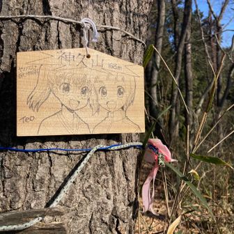 こちらはヤマノススメ📺のキャラ仕様です😆💖