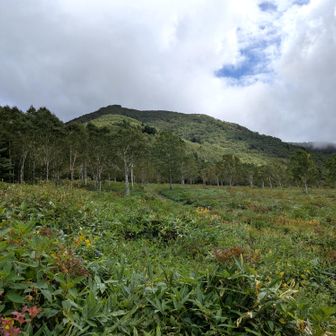 八間山😍

紅葉が始まるまであと少し・・・かな😃？
