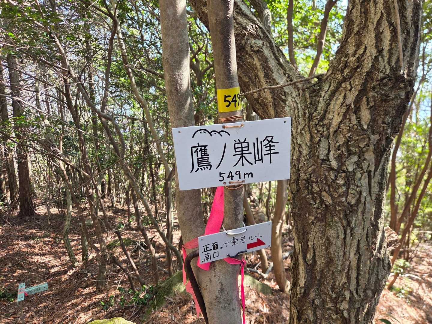 鷹ノ巣峰　(549m)
ピークにはなってません😞
