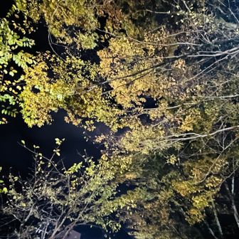 この辺りも紅葉🍁が始まるかな〜🤔