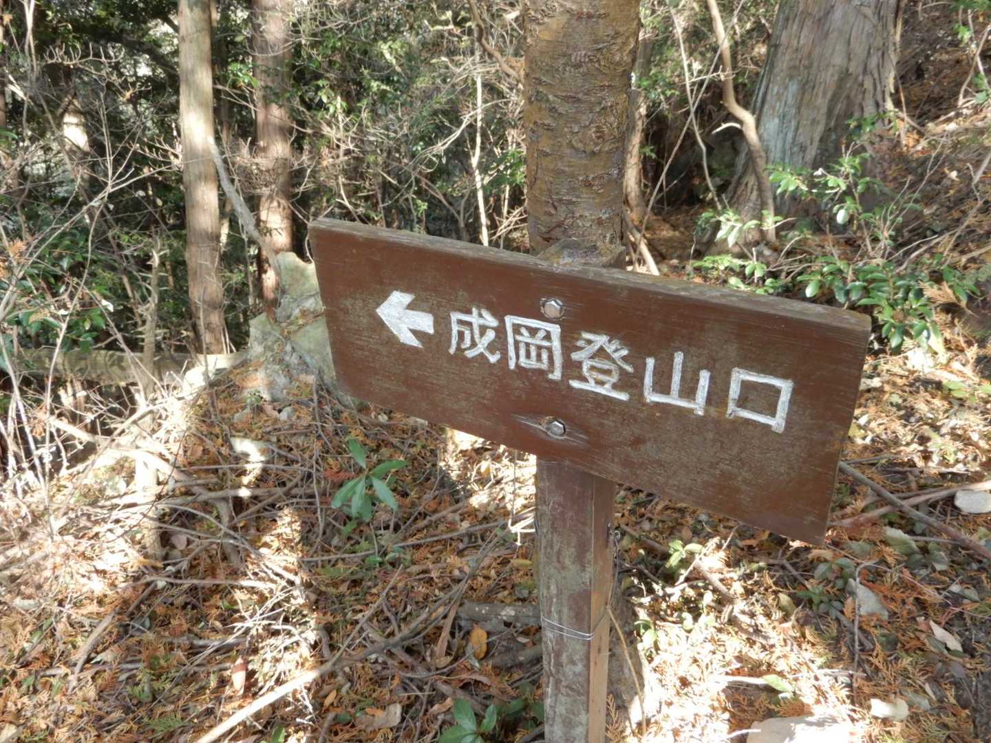 ここから激坂を下る