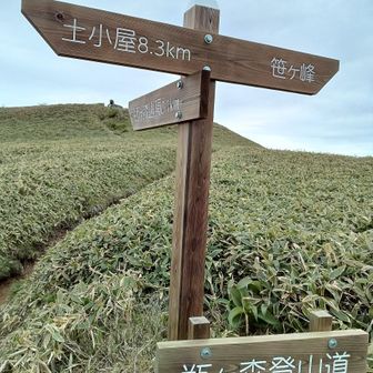 笹ヶ峰へ続く稜線歩きは次回に。

土小屋まで歩ける気しない。