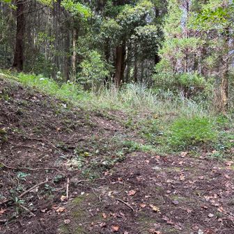 ここから山道に入る