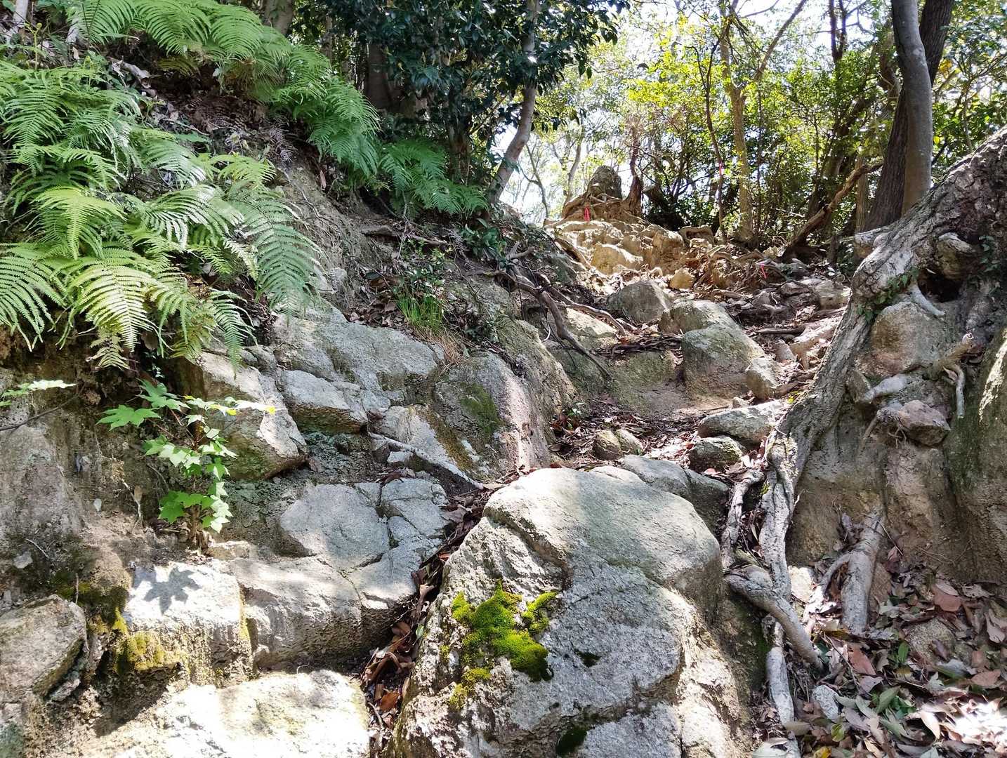 岩岩。