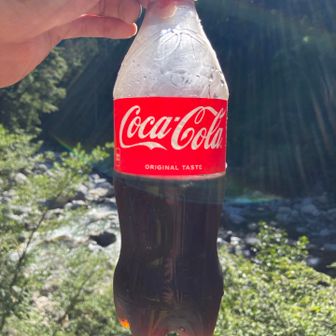 薬師沢までの劇下りが辛すぎたのでコーラ休憩