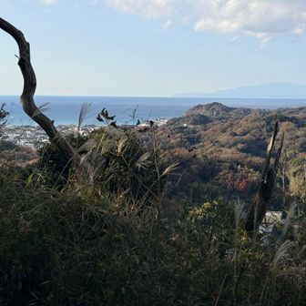 反対側からは海も見える🌊