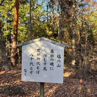 山頂にあった看板。古今和歌集の歌だそうです。当時は「志ほのやま」で、塩🧂、ではなかったようですが。
ちなみに差出の磯、とは海ではなく磯のように見える甲府市内の岩山と川とのこと。こちらも行ってみたくなりました。
