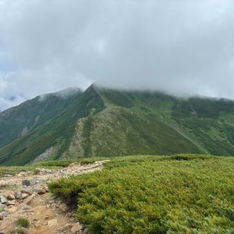 晴れと曇りを行ったり来たり
雷がずっと鳴っているがこの時点では雨は降らず