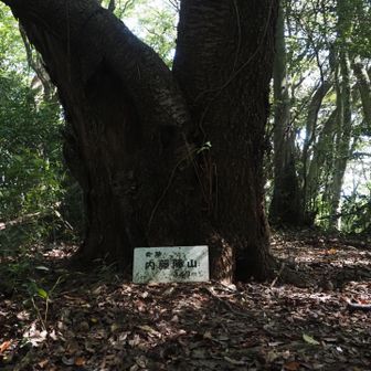 内藤陣山からの