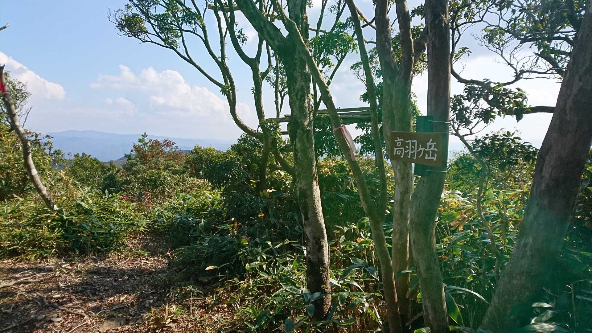 再び高羽ヶ岳😃