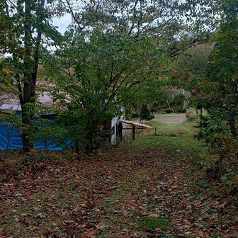 良い登山道を予想させるスタート