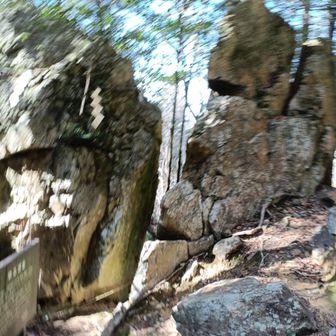 おお～！動いた！
嘘。
ちょっと獣の声がして慌てたらブレてしまった