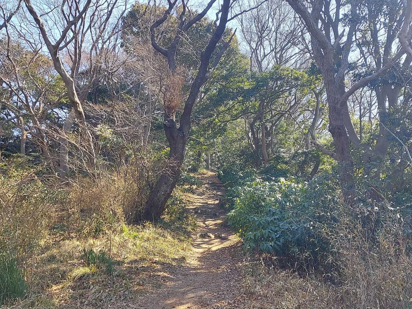 関東ふれあいの道👣