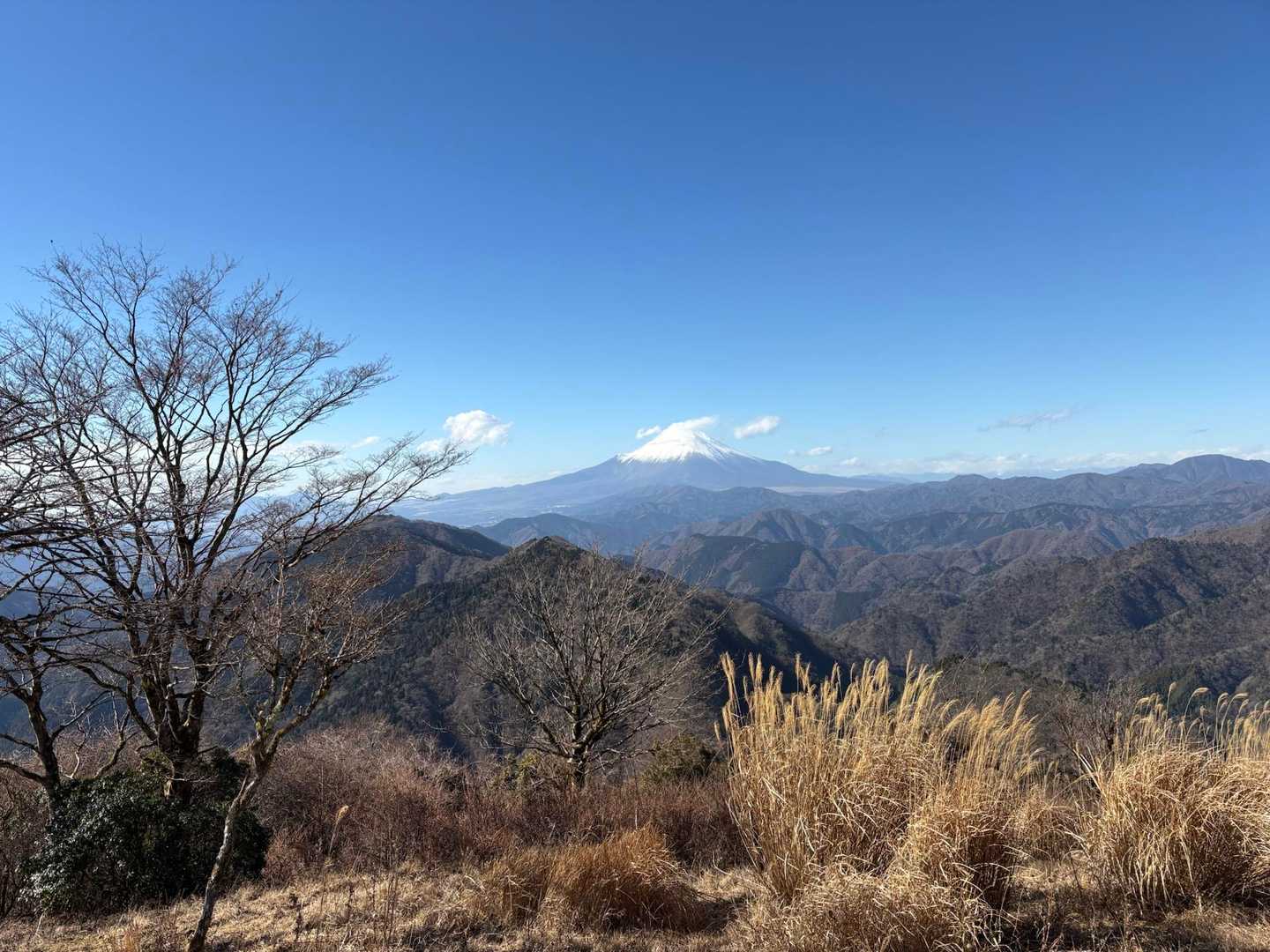 富士山も今日はよく見えます。