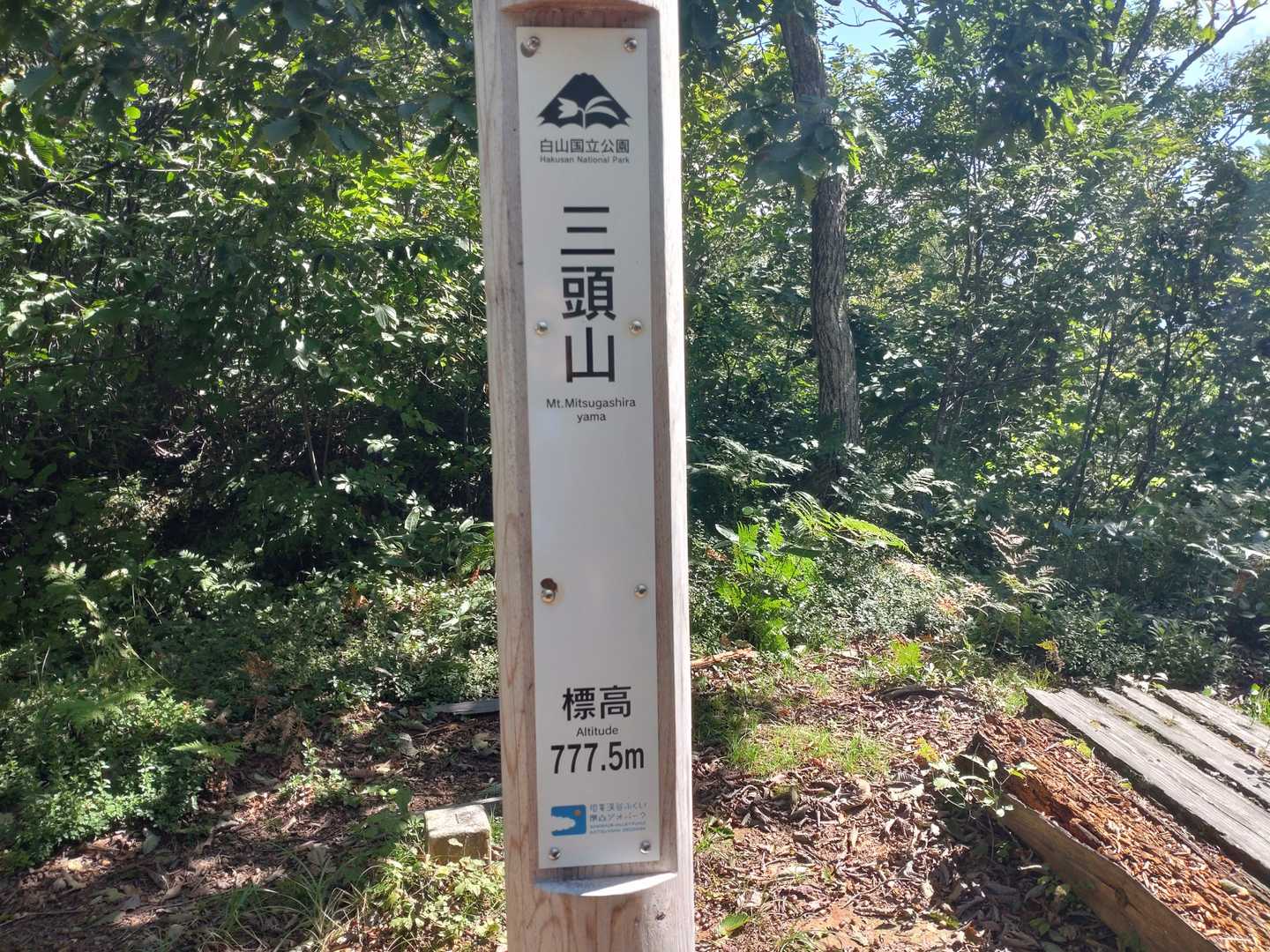 三頭山到着、777メートル