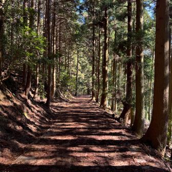 気持ちいい
一周してきて同じ道だが
朝は暗かったから新鮮な気持ちで歩ける