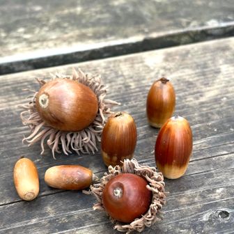 吾妻山のベンチにだれかさんのあ置き土産😍