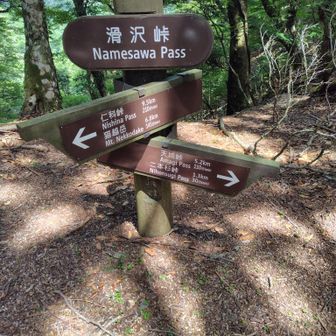 滑沢峠　最初は踏み跡が微妙にあり、テープを頼りに歩いていたが、下りきったところで見失なって沢に降りてしまい、今度は登りやすい所を上に登り本来の踏み跡に出た次第。
