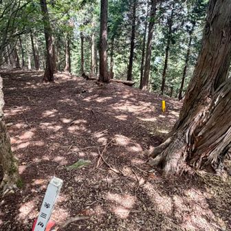 山頂の様子

休憩し、往路を引き返し、下山します。