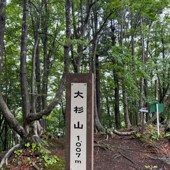 大杉山🪧