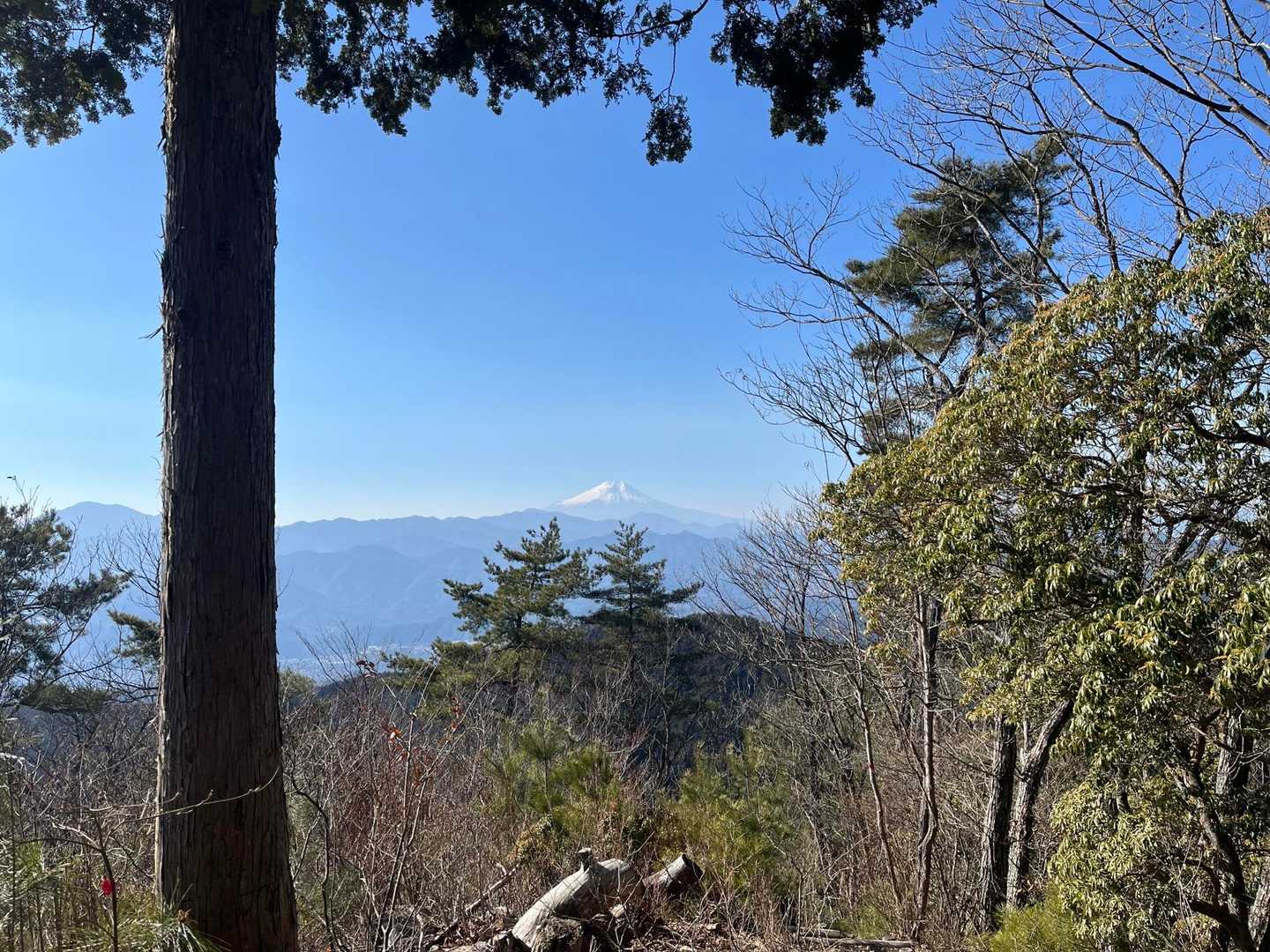 この茅丸からの景色を楽しみにしてました🤗
