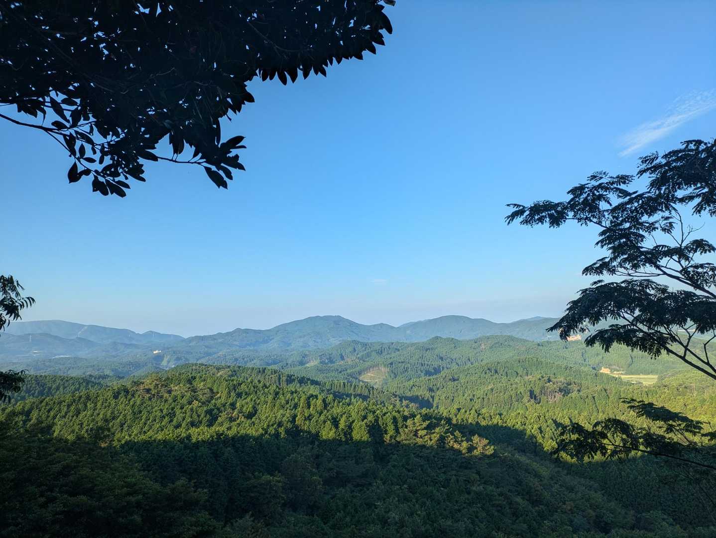 亀岳登り口-亀岳 往復コースの写真