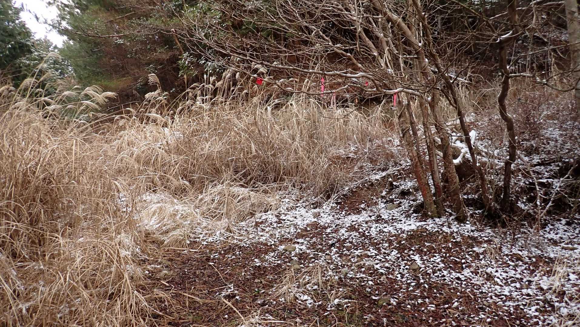 ここから山道へ。