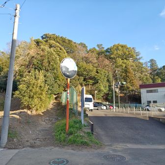 ここから高野の切通へ。