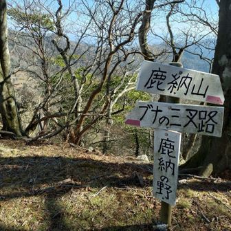 それでは、憧れの鹿納山へ👉🏻