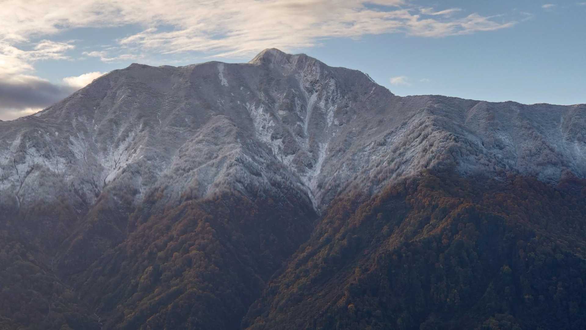 三段紅葉