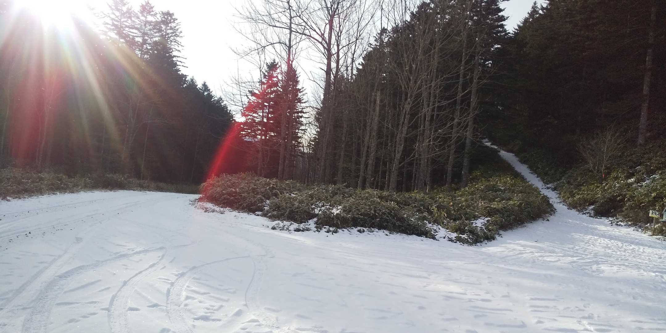 辺計礼山登山口からスタート🏁
左へ…足慣らしで雪見山へ行くので、車で来た林道を歩いて戻ります
(右の坂道が辺計礼山登山道)