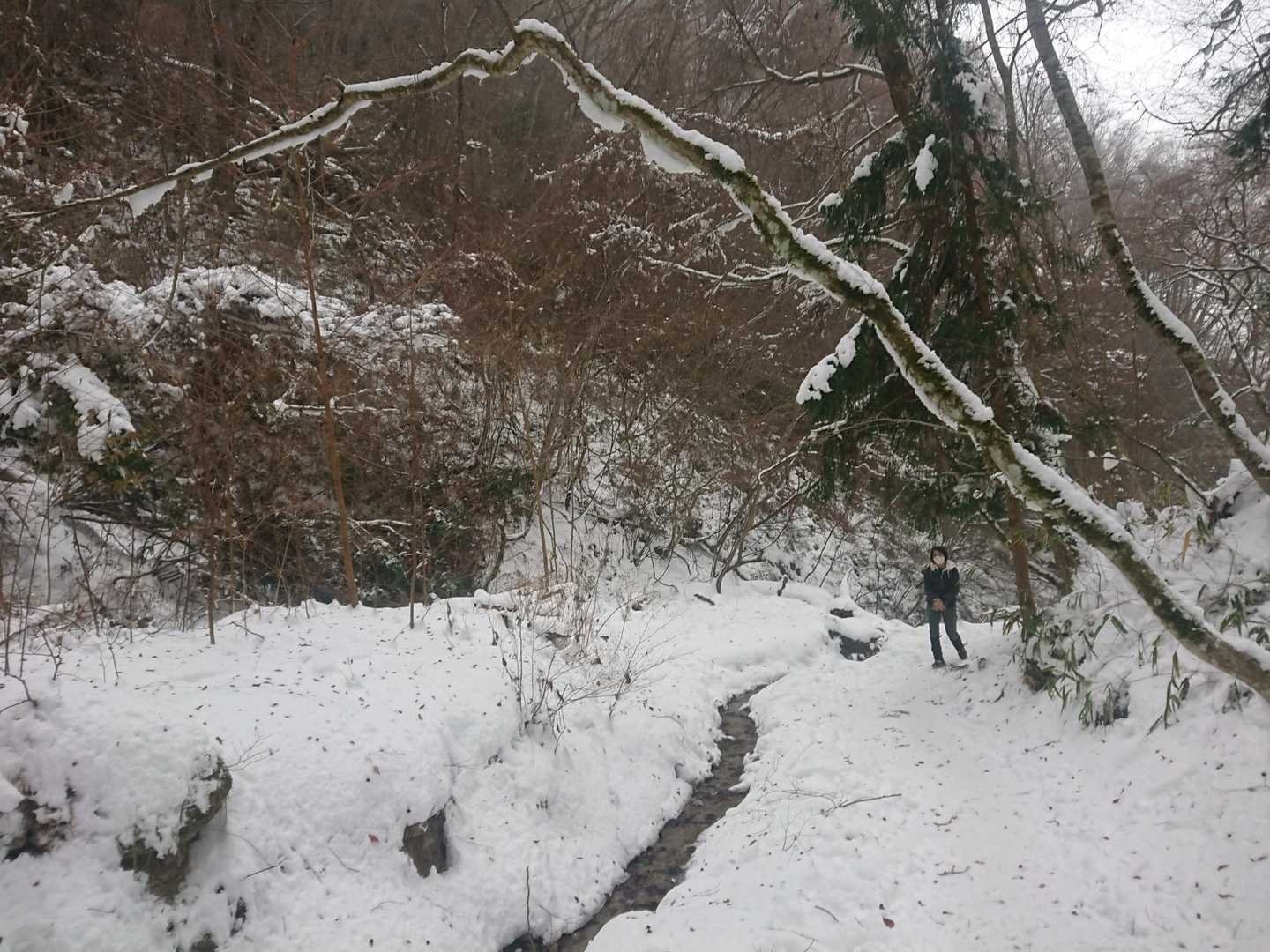 雪景色を楽しんで