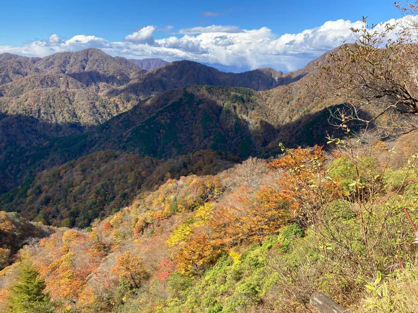戸沢の出合-塔ノ岳-丹沢山-政次郎ノ頭 往復コースの写真