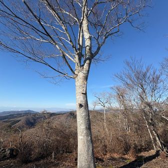 高いところに山頂表示